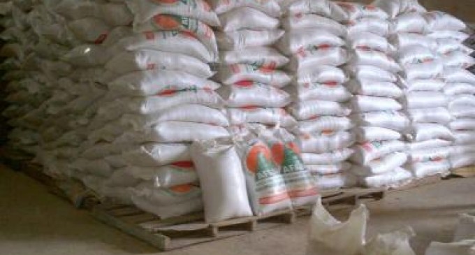650 sacos de pasta de soya fueron recuperados