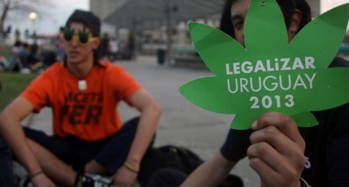 ONU dice que ley de marihuana en Uruguay viola tratados internacionales