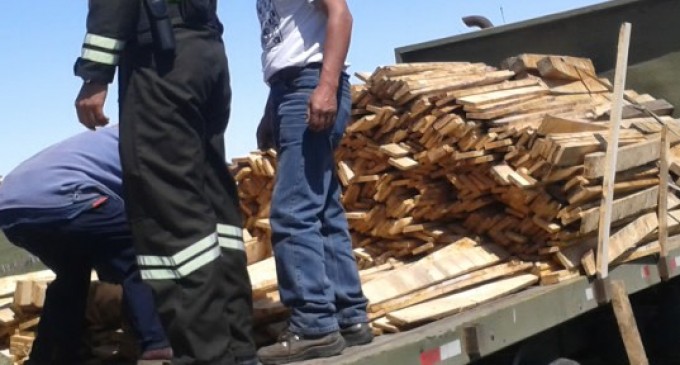 Decomiso de madera ilegal en la Provincia Bolívar